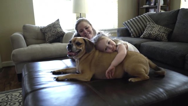 Resting family dog patiently tolerant of this cute toddler and her playful affections.