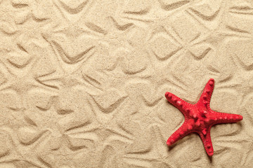 Fototapeta na wymiar Starfish Patterns On Sandy Beach