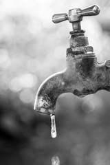 Brass water tap in nature background.(Processed in monochrome colour tone)