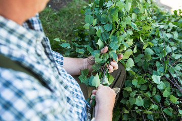 man knits bath broom, harvesting birch brooms for a bath