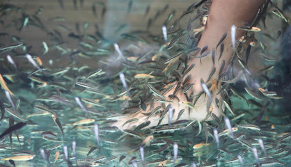 Fish reflexology