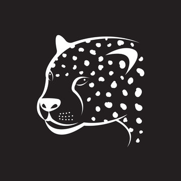 Vector image of an cheetah face on black background. Vector chee