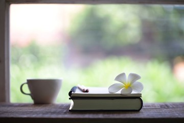 cup and notebooks at windows