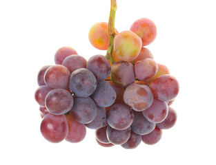 red grape isolated on white background