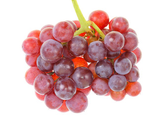 red grapes isolated on white