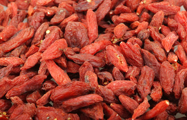 goji berries (lycium barbarum)