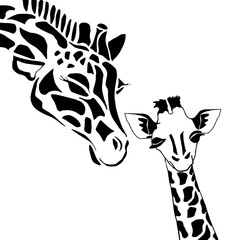 Cute giraffe family © lacrimastella