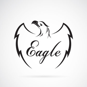 Vector of eagle design on white background. Vector eagle for you