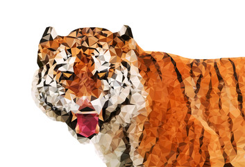 Tiger polygon design. Wild cat