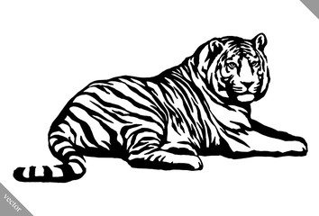 black and white ink draw tiger vector illustration