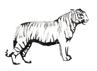 black and white painting with water and ink draw tiger illustration