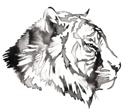 black and white painting with water and ink draw tiger illustration