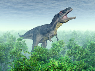 Plakaty  Dinozaur Tyrannotitan