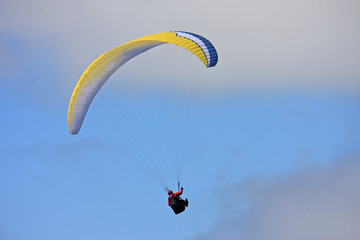 Paraglider