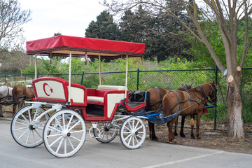 in the past turkish transport with carriage