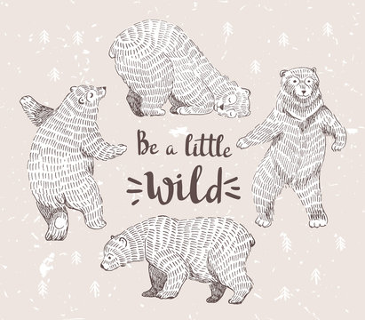Set of sketched bears with the stylish hipster calligraphy "Be a little wild". Vector hand drawn illustration.