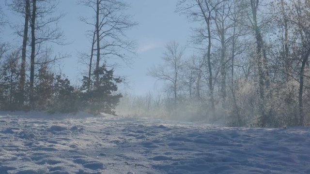 Fog over snow on Kraljevica park hill 4K 2160p UHD footage - Hills and forest near town of Zajecar covered with snow 4K 3840X2160 UHD video 