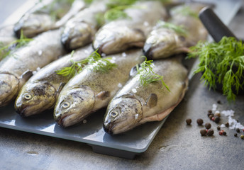 Rainbow trouts on a glass and stone board with herbs and mortar