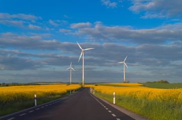 Windräder von der Straße aus 