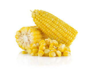 corn isolated on white background