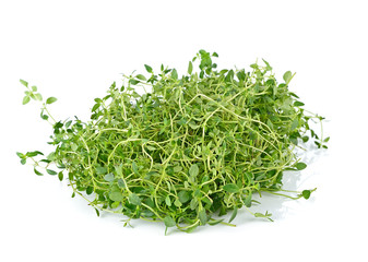 Fresh thyme on white background