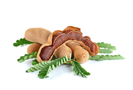 Tamarind on white background