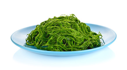 Freshwater algae (Spirogyra sp.) ready is used to make food