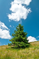 Obraz premium Beautiful mountains landscape