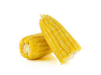 Corn isolated on a white background