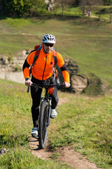 Naklejka premium Cyclist on the Beautiful Meadow Trail