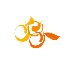 apricot fruit simple decorative symbol. vector illustration