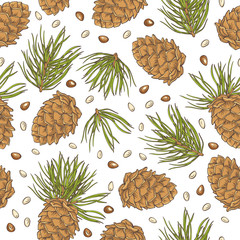 Hand drawing pine cones and pine nuts on white background. Vector seamless pattern.