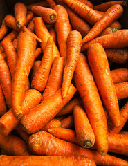 carrots at the market