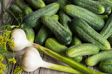 Freshly picked  vegetables.    Freshly picked cucumbers and young garlic on a gray wooden table.