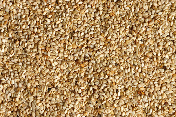 White sesame seeds background.