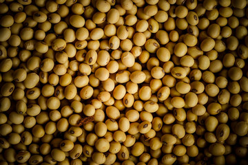 Cereal Grains , Seeds, Beans background