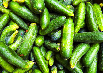 cucumbers on the market