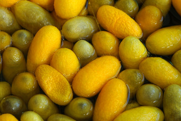 making of the cocoon silkworm