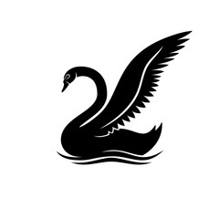 Obraz premium Elegant black swan.
