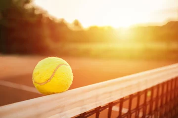 Tuinposter Tennis ball on the net   © yossarian6
