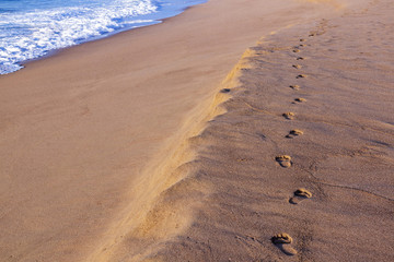Sand Footprint Trail on Empty Beach  Next to Ocean