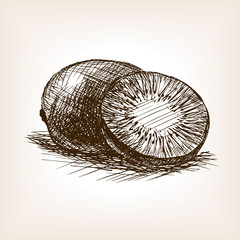 Kiwi fruit hand drawn sketch style vector