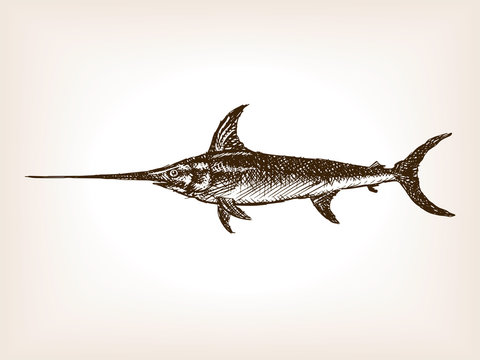 Swordfish Hand Drawn Sketch Vector