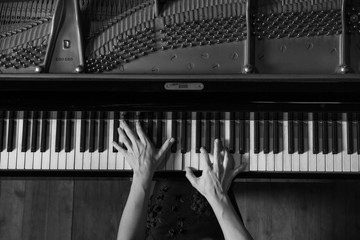 Hands on Piano BW