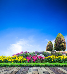 Beautiful garden on blue sky, Flower garden