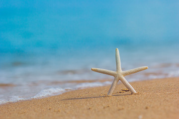 Fototapeta na wymiar Starfish at the sandy summer beach with blue sea in the background with small waves. Travel, holiday and vacation in the summer tranquility getaway and relaxation concept.