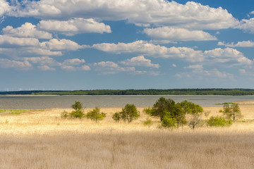 Beautiful view of the lake Łebsko