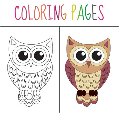Coloring book page. Owl. Sketch and color version. Coloring for kids. Vector illustration