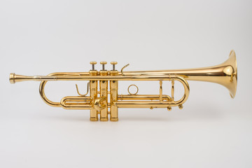 Obraz na płótnie Canvas Gold trumpet