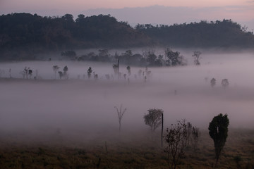 Fog mountain in the early morning sunrise